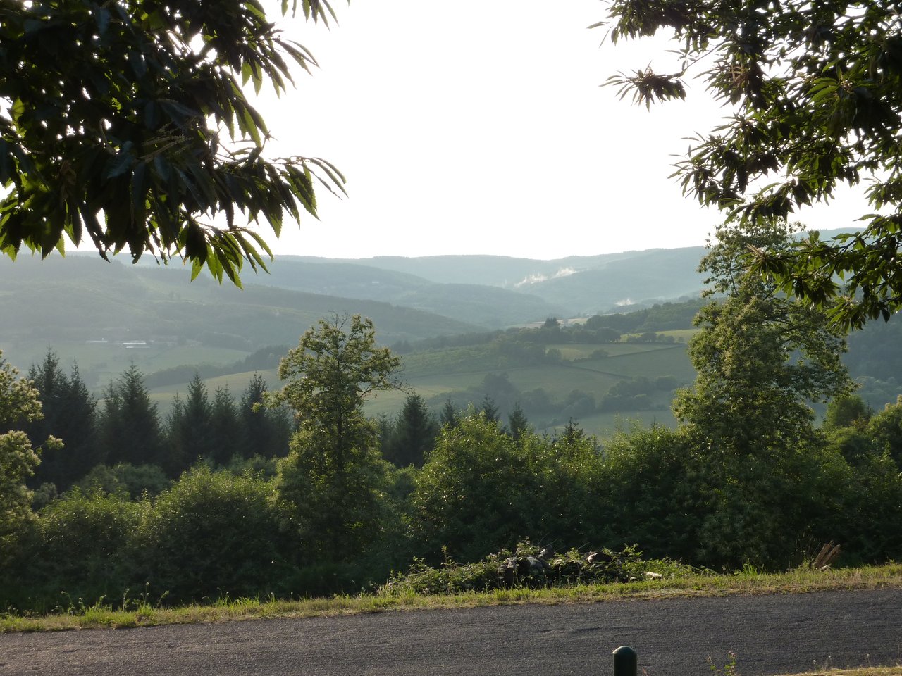 Nature-du-Morvan